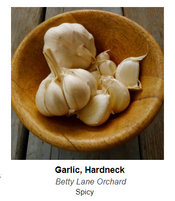 garlic in wooden bowl