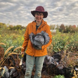 Heather in a field with cabbage