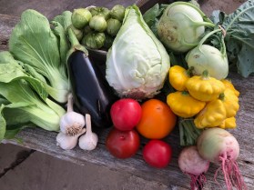 colorful vegetables on a wood background