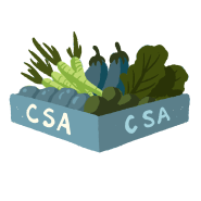 CSA farm share box with carrots kale eggplant